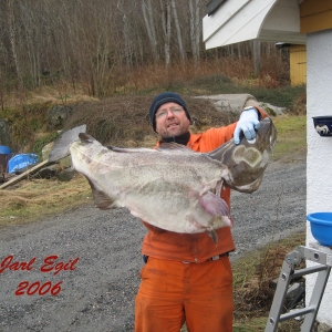 fask06 003