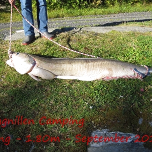 fiske-sept-2010-1